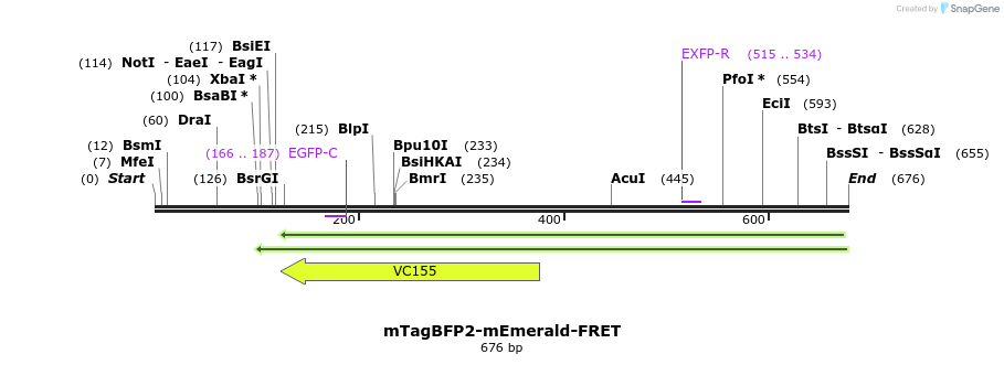 119804_map