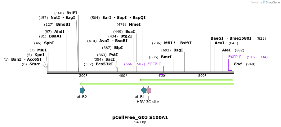 119805_map