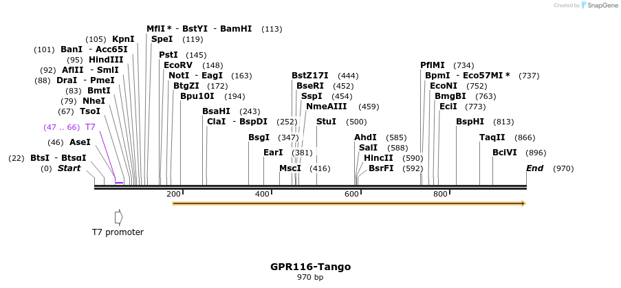 119806_map