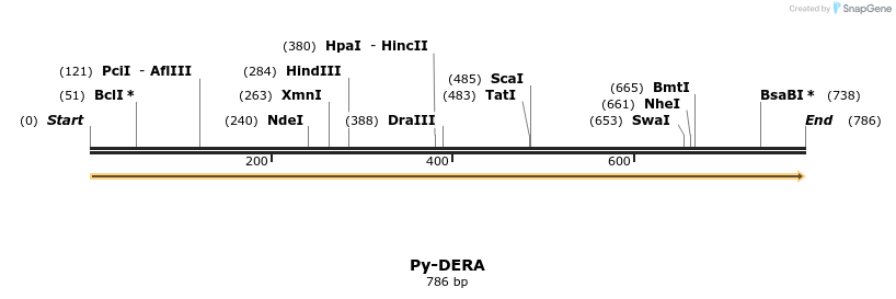 11981_map