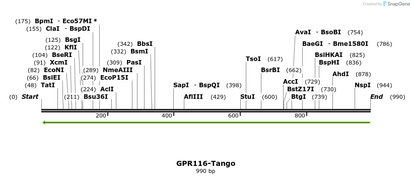 119810_map