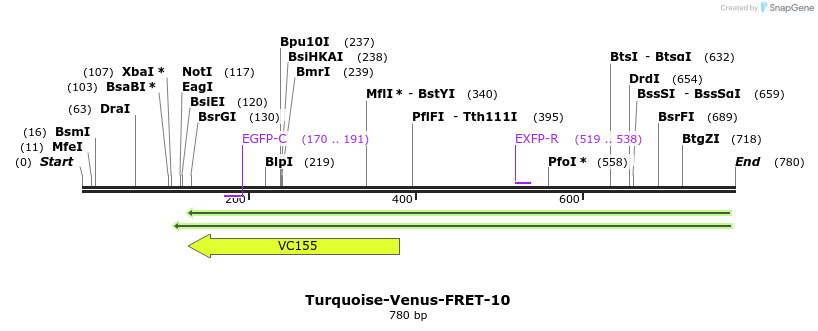 119811_map