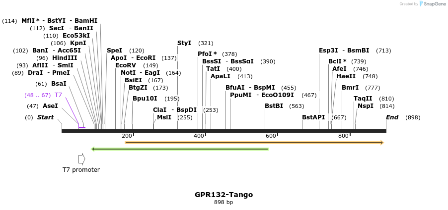 119812_map