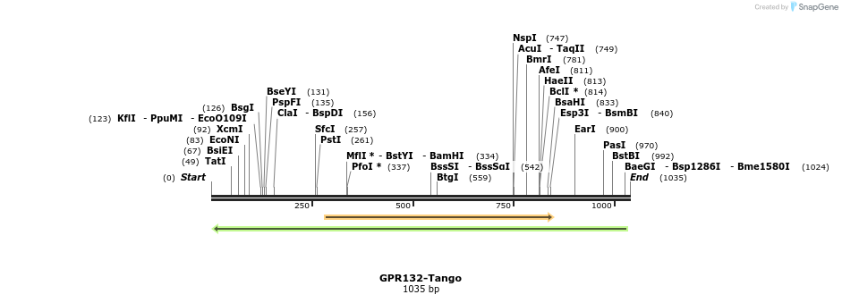 119814_map
