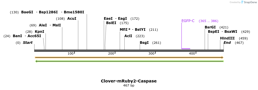 119819_map