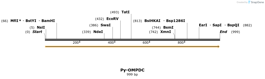 11982_map