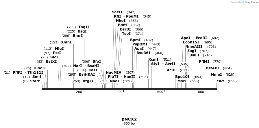 119822_map