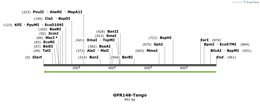 119824_map