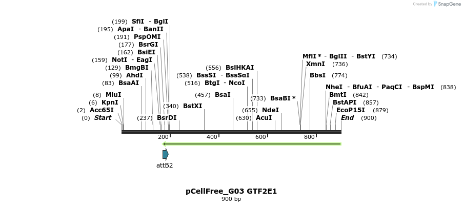 119826_map
