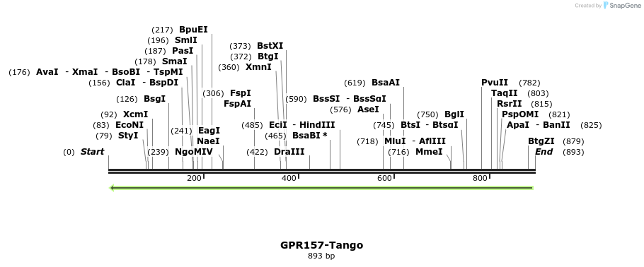 119827_map