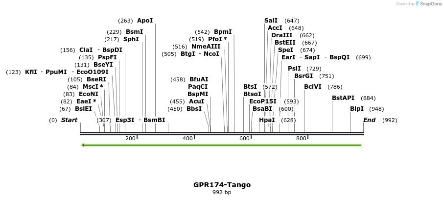 119833_map