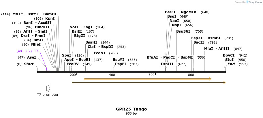 119834_map