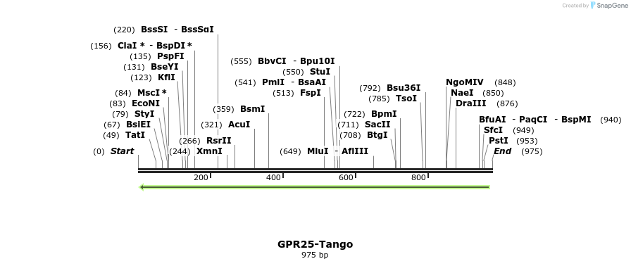 119838_map
