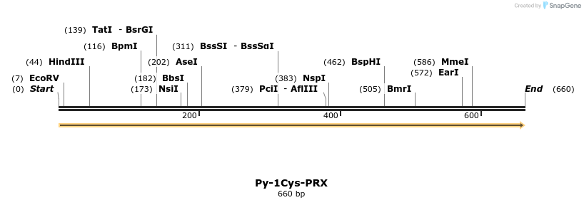 11984_map