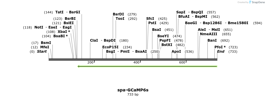 119841_map