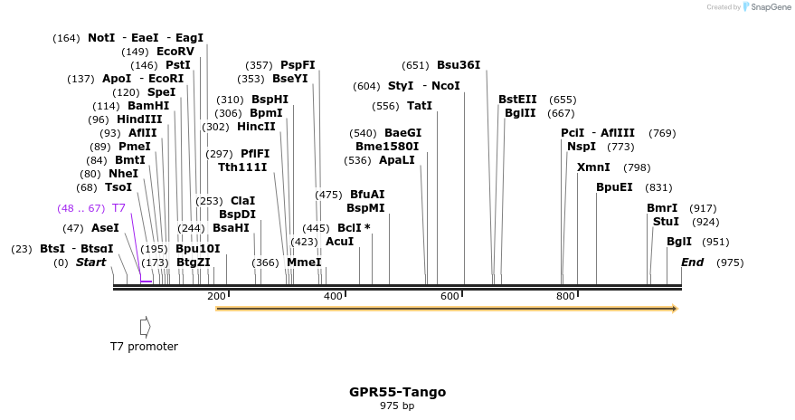 119847_map