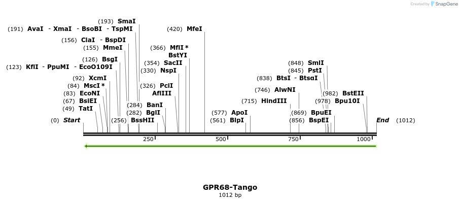 119851_map