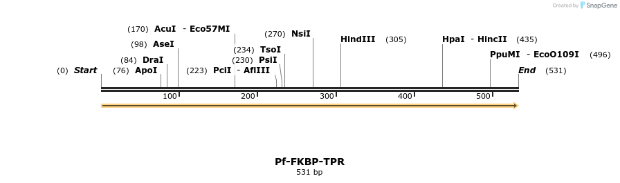 11986_map