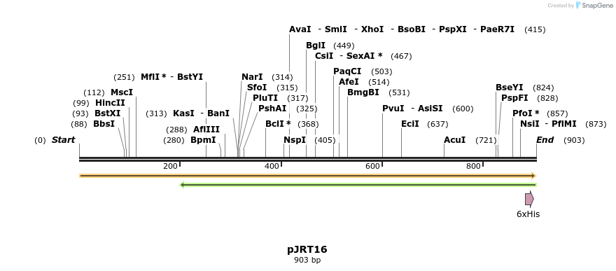 119866_map