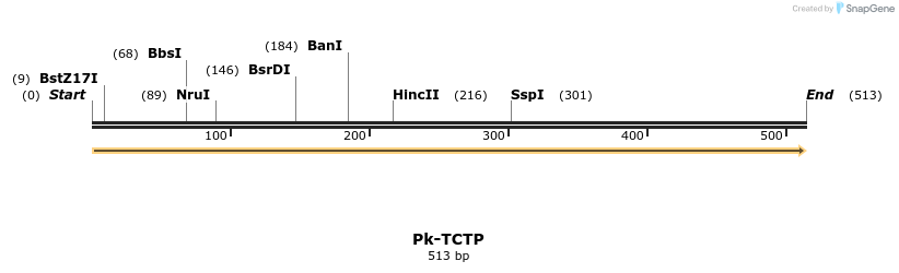11987_map