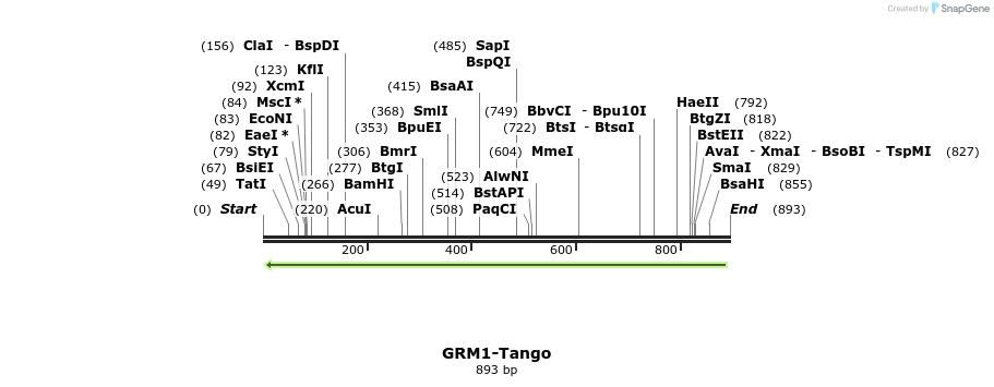 119870_map