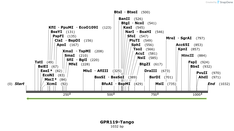 119877_map
