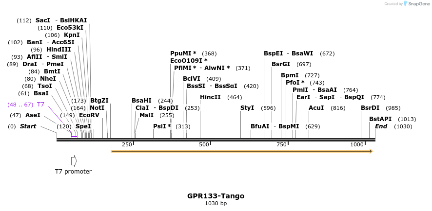 119878_map