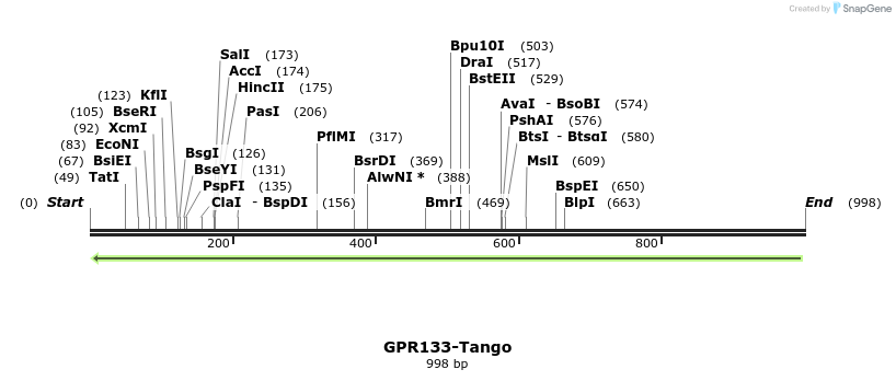 119879_map