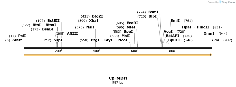 11988_map