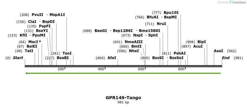 119881_map