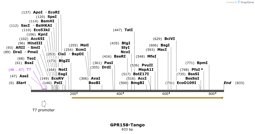 119882_map