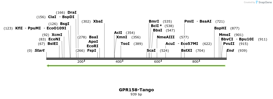 119883_map