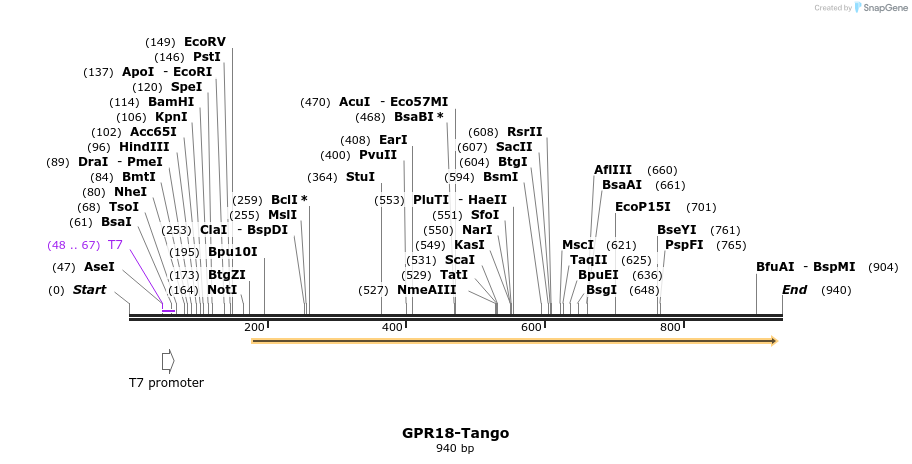 119884_map
