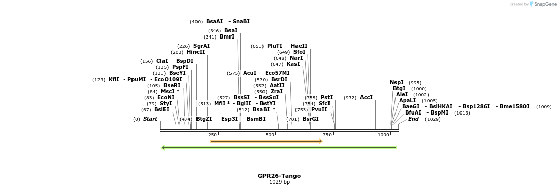 119887_map