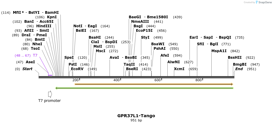 119889_map