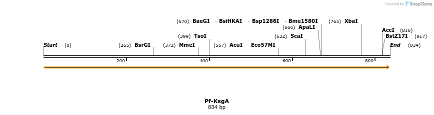 11989_map
