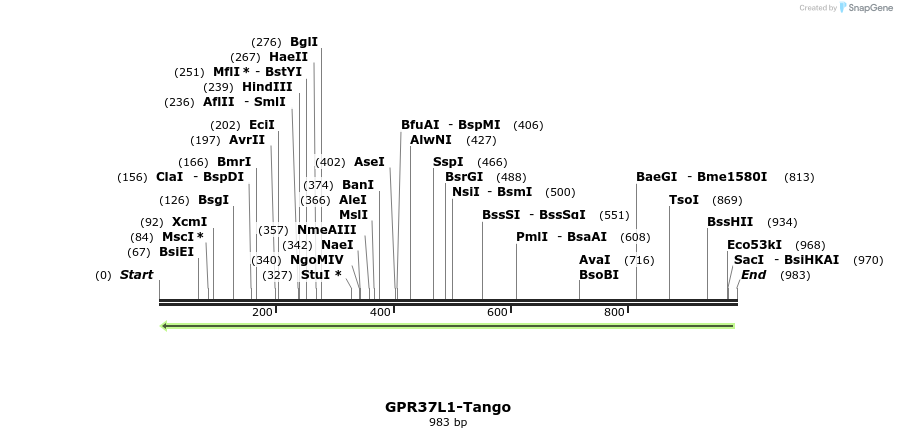 119890_map
