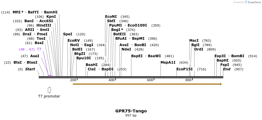 119893_map