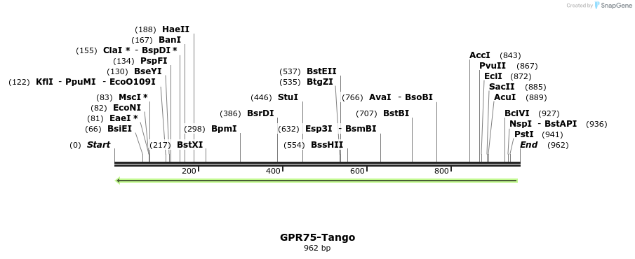 119894_map