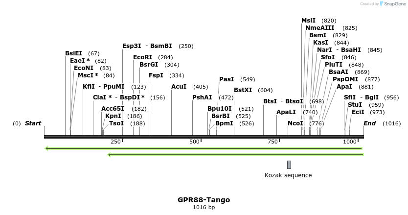 119895_map