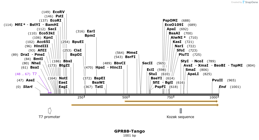 119896_map
