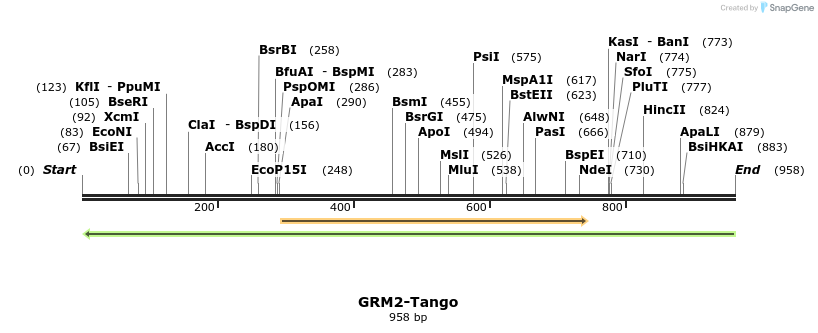 119898_map