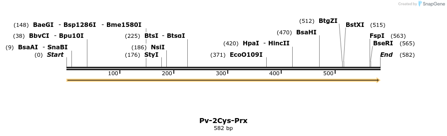 11990_map