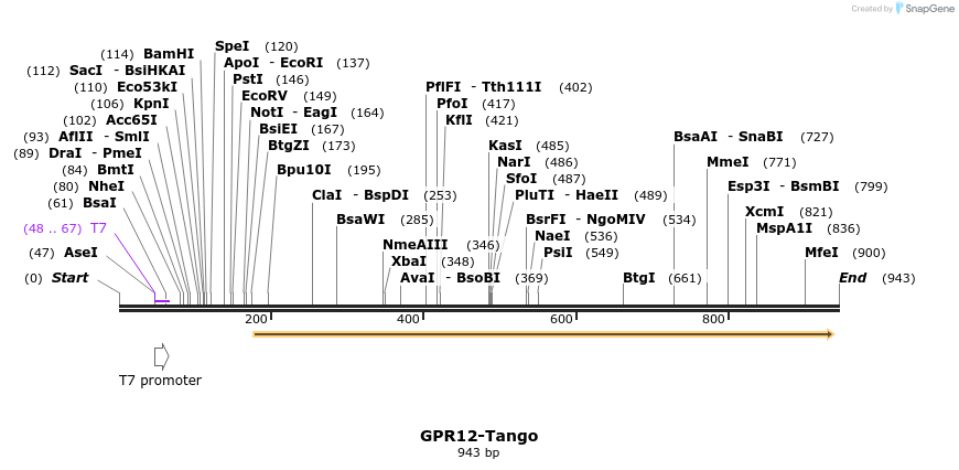 119902_map