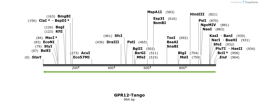 119904_map
