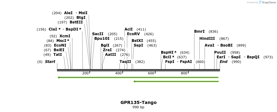 119905_map