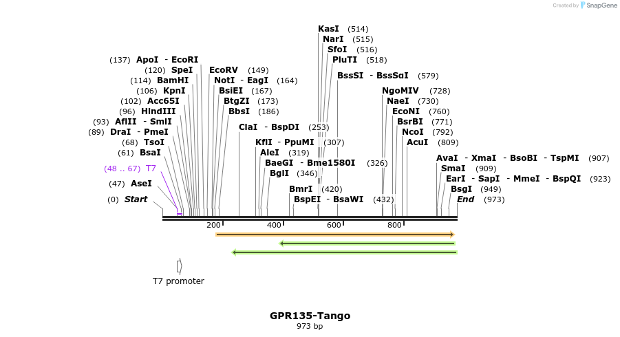 119906_map