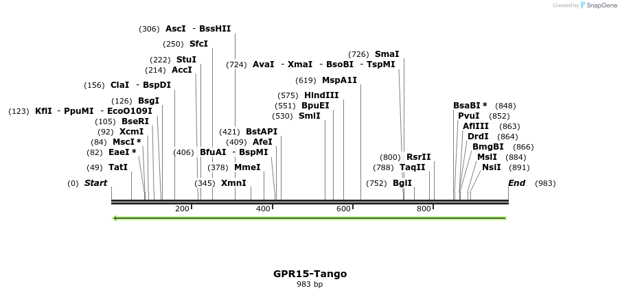 119908_map