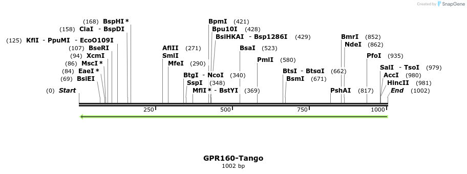 119910_map