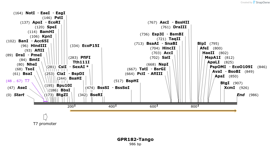 119911_map